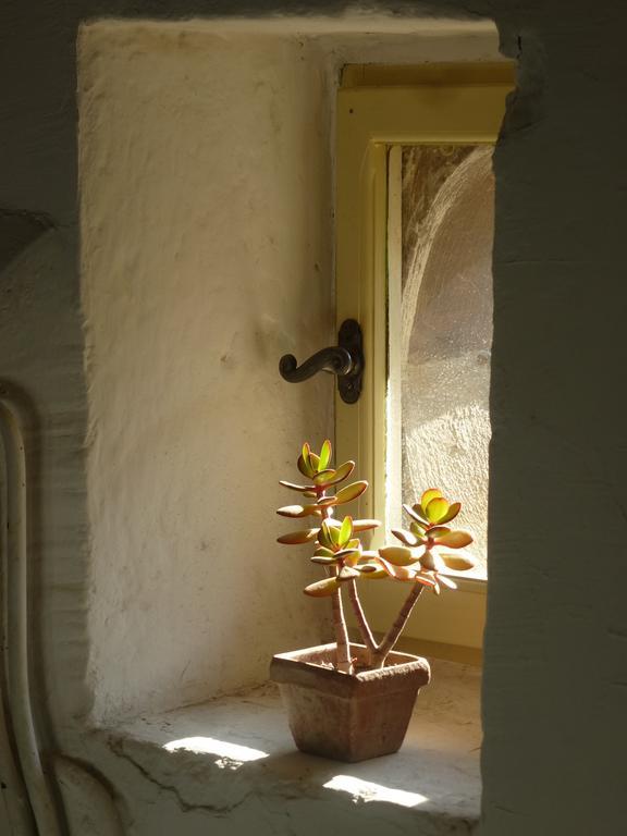 L'enclos Du Micocoulier Holiday home *