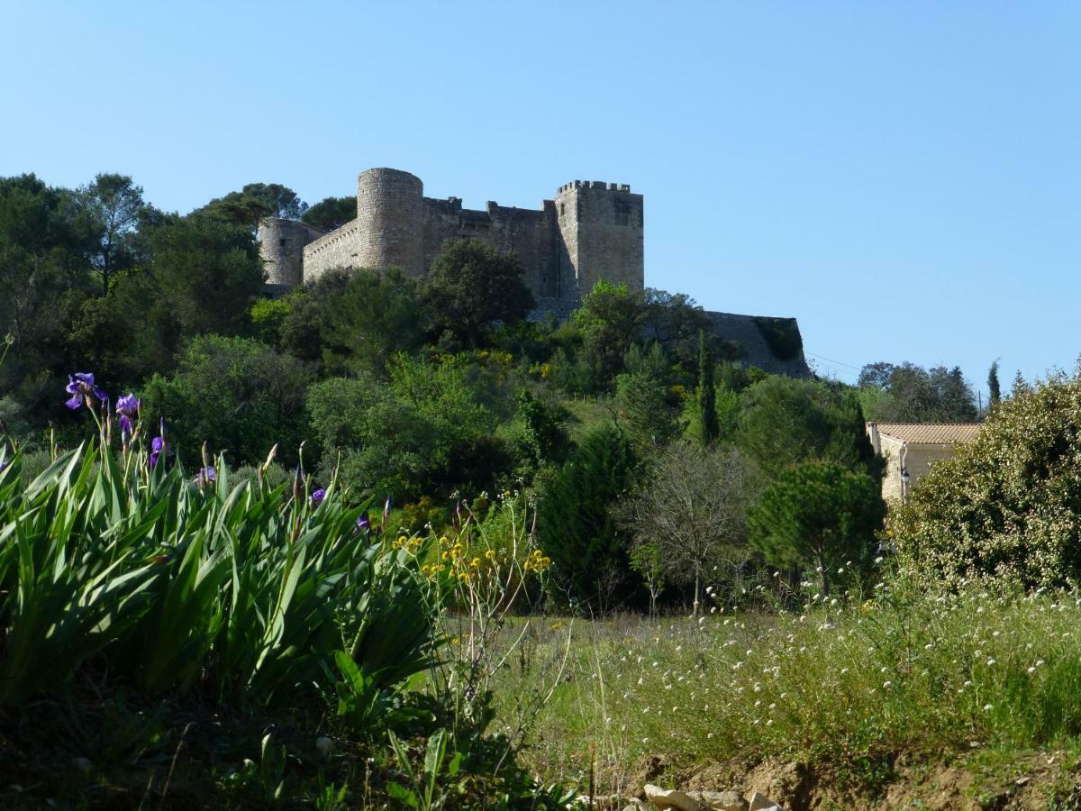 L'enclos Du Micocoulier Holiday home *